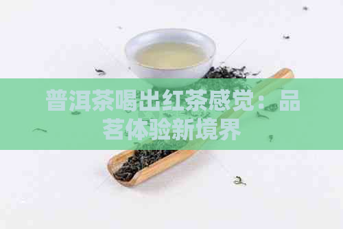 普洱茶喝出红茶感觉：品茗体验新境界