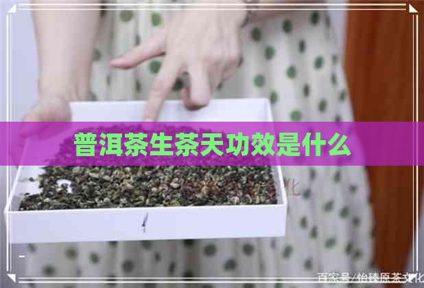 普洱茶生茶天功效是什么