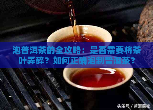 泡普洱茶的全攻略：是否需要将茶叶弄碎？如何正确泡制普洱茶？