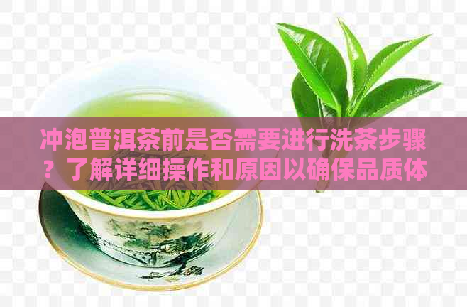 冲泡普洱茶前是否需要进行洗茶步骤？了解详细操作和原因以确保品质体验