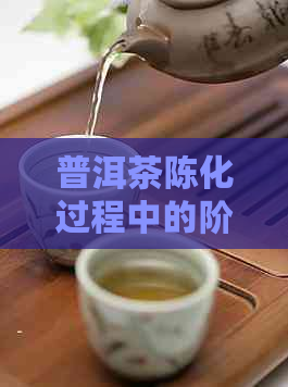 普洱茶陈化过程中的阶性变化：探究其转换期特征