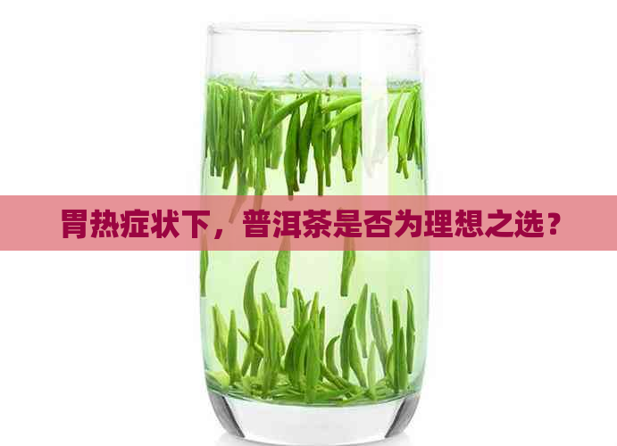 胃热症状下，普洱茶是否为理想之选？