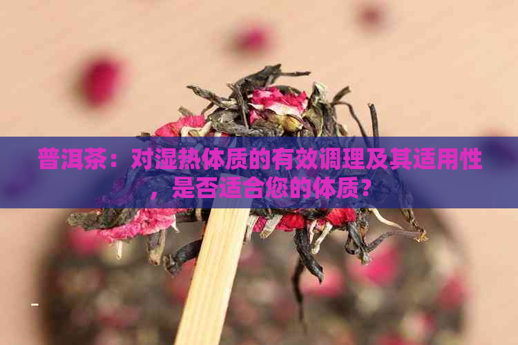 普洱茶：对湿热体质的有效调理及其适用性，是否适合您的体质？