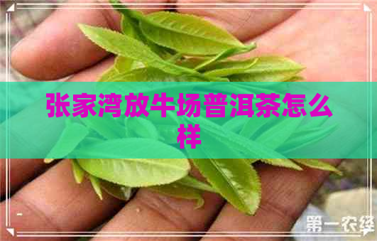 张家湾放牛场普洱茶怎么样