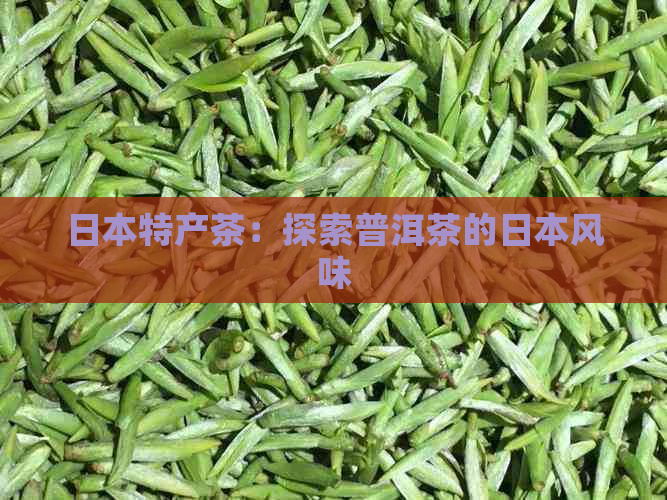 特产茶：探索普洱茶的风味