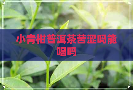 小青柑普洱茶苦涩吗能喝吗