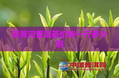 铜箐河普洱茶价格一斤多少啊