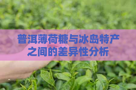 普洱薄荷糖与冰岛特产之间的差异性分析