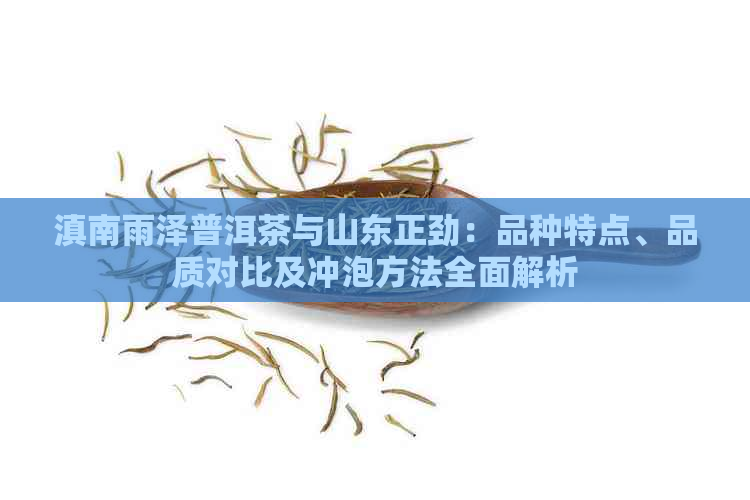 滇南雨泽普洱茶与山东正劲：品种特点、品质对比及冲泡方法全面解析