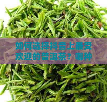 如何选择抖音上更受欢迎的普洱茶？哪种普洱茶口感更好？