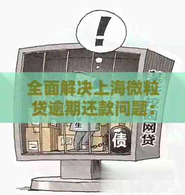 全面解决上海微粒贷逾期还款问题：协商策略、影响及应对方法一文解析