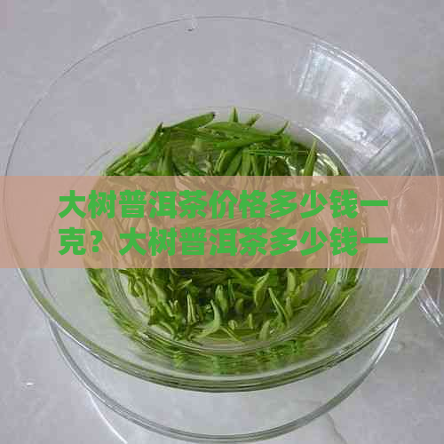 大树普洱茶价格多少钱一克？大树普洱茶多少钱一斤？大树普洱茶价格表