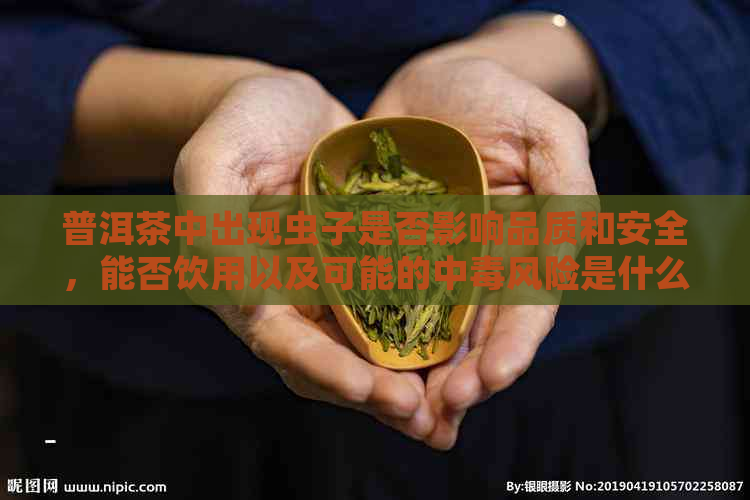 普洱茶中出现虫子是否影响品质和安全，能否饮用以及可能的中风险是什么？