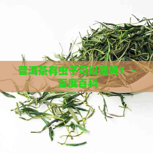 普洱茶有虫子可以喝吗？ - 百度百科