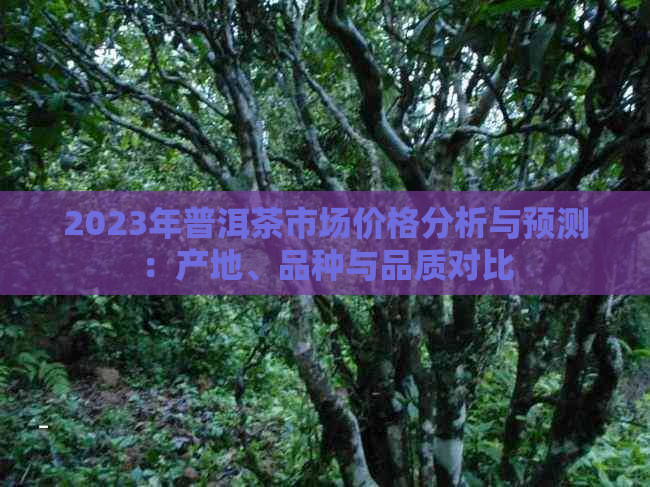 2023年普洱茶市场价格分析与预测：产地、品种与品质对比