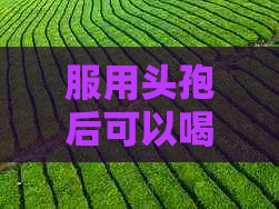 服用头孢后可以喝普洱茶吗？对女性有哪些影响？