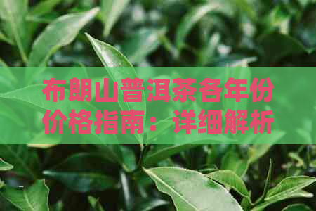 布朗山普洱茶各年份价格指南：详细解析与比较