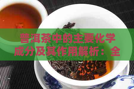 普洱茶中的主要化学成分及其作用解析：全方位了解普洱茶的神奇之处