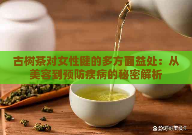 古树茶对女性健的多方面益处：从美容到预防疾病的秘密解析