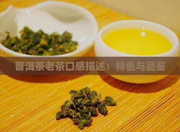 普洱茶老茶口感描述：特色与品鉴