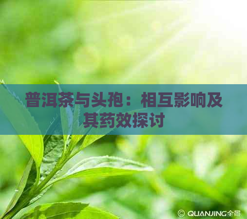 普洱茶与头孢：相互影响及其药效探讨