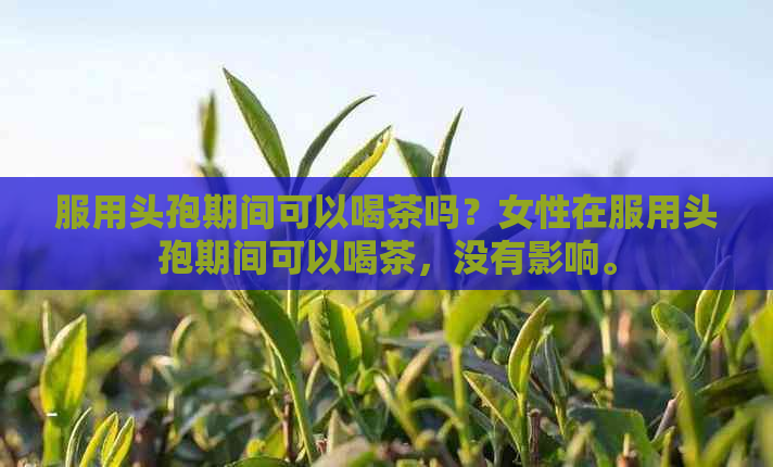 服用头孢期间可以喝茶吗？女性在服用头孢期间可以喝茶，没有影响。