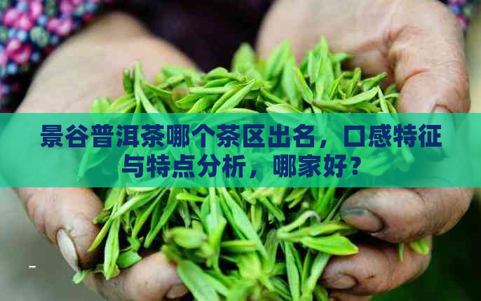 景谷普洱茶哪个茶区出名，口感特征与特点分析，哪家好？