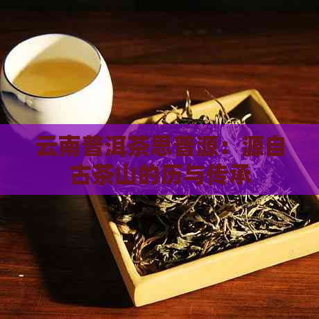 云南普洱茶思普源：源自古茶山的历与传承