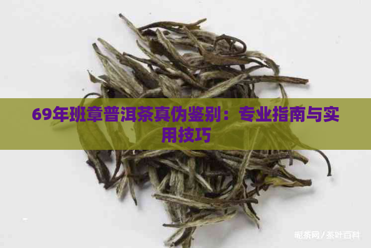 69年班章普洱茶真伪鉴别：专业指南与实用技巧