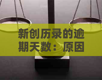 新创历录的逾期天数：原因、影响与解决方案全方位解析