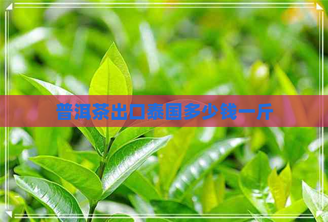 普洱茶出口泰国多少钱一斤