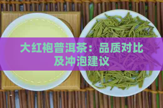 大红袍普洱茶：品质对比及冲泡建议