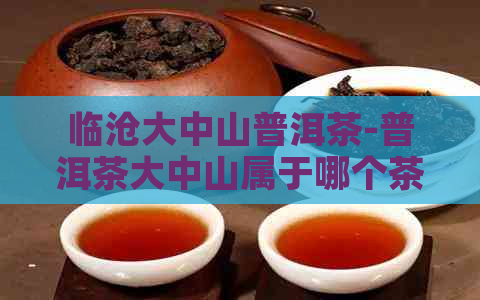 临沧大中山普洱茶-普洱茶大中山属于哪个茶区