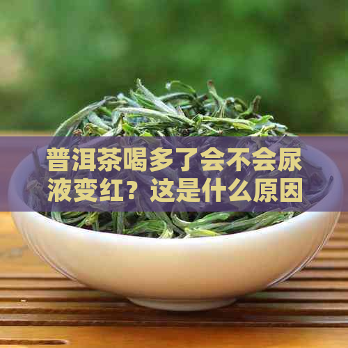 普洱茶喝多了会不会尿液变红？这是什么原因导致的？