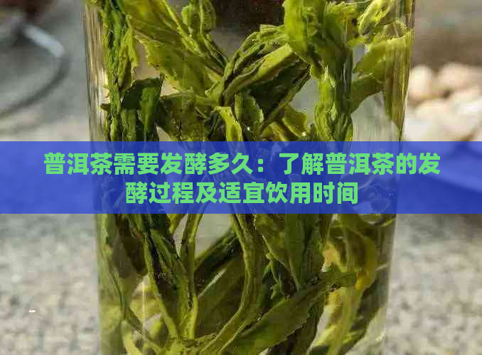 普洱茶需要发酵多久：了解普洱茶的发酵过程及适宜饮用时间