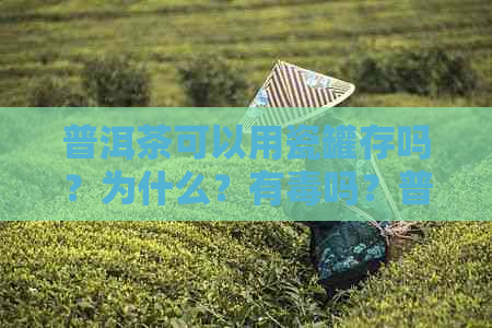 普洱茶可以用瓷罐存吗？为什么？有吗？普洱茶用罐存好吗？