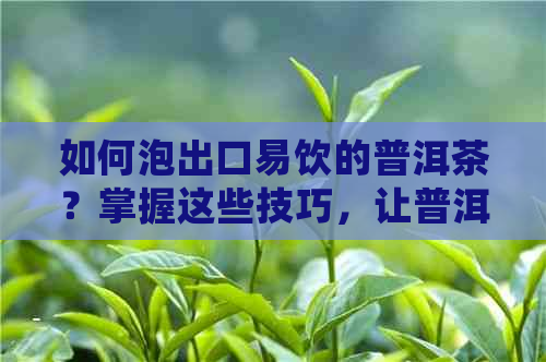 如何泡出口易饮的普洱茶？掌握这些技巧，让普洱茶变得更好喝！