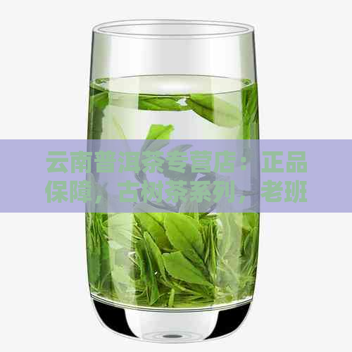 云南普洱茶专营店：正品保障，古树茶系列，老班章，大树青饼，新茶预售