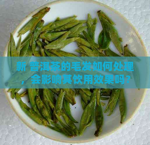 新 普洱茶的毛发如何处理，会影响其饮用效果吗？