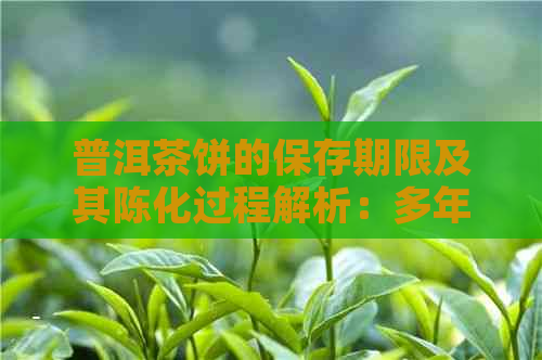 普洱茶饼的保存期限及其陈化过程解析：多年后仍能保持风味吗？