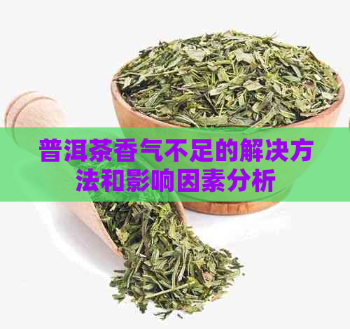 普洱茶香气不足的解决方法和影响因素分析