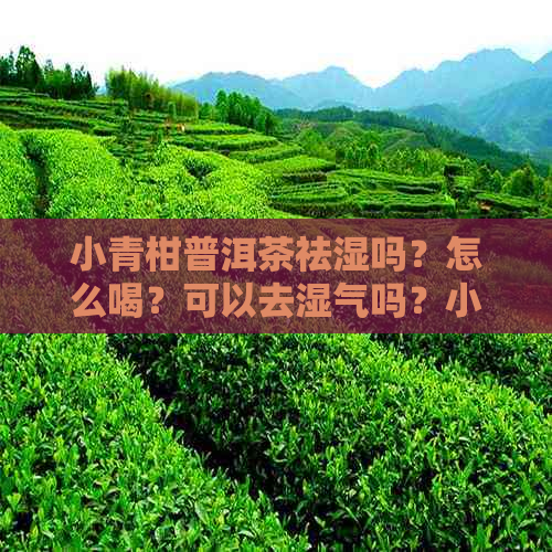 小青柑普洱茶祛湿吗？怎么喝？可以去湿气吗？小青柑普洱去火吗？提神吗？