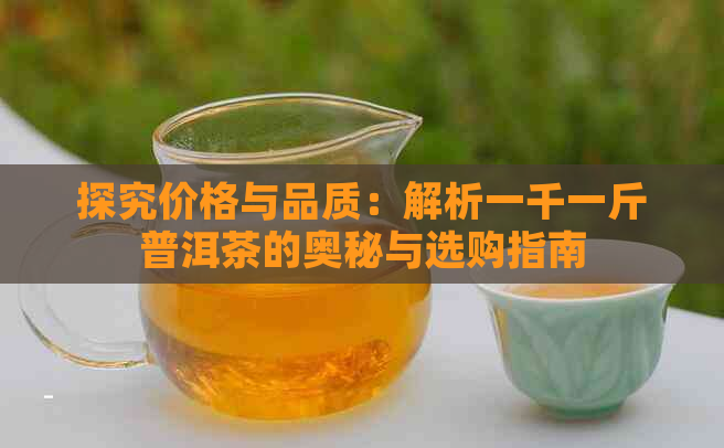 探究价格与品质：解析一千一斤普洱茶的奥秘与选购指南