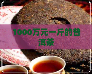 1000万元一斤的普洱茶