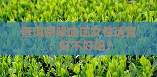 普洱茶降血压女性适宜：好不好喝？