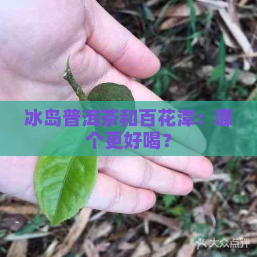 冰岛普洱茶和百花潭：哪个更好喝？