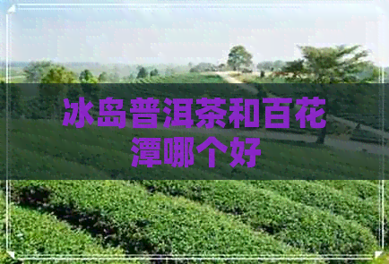 冰岛普洱茶和百花潭哪个好