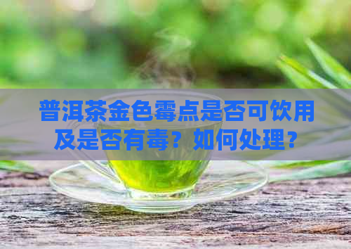 普洱茶金色霉点是否可饮用及是否有？如何处理？