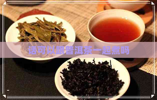 话可以跟普洱茶一起煮吗