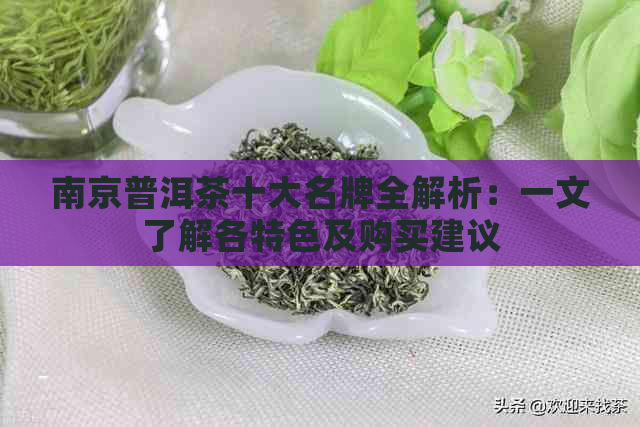 南京普洱茶十大名牌全解析：一文了解各特色及购买建议